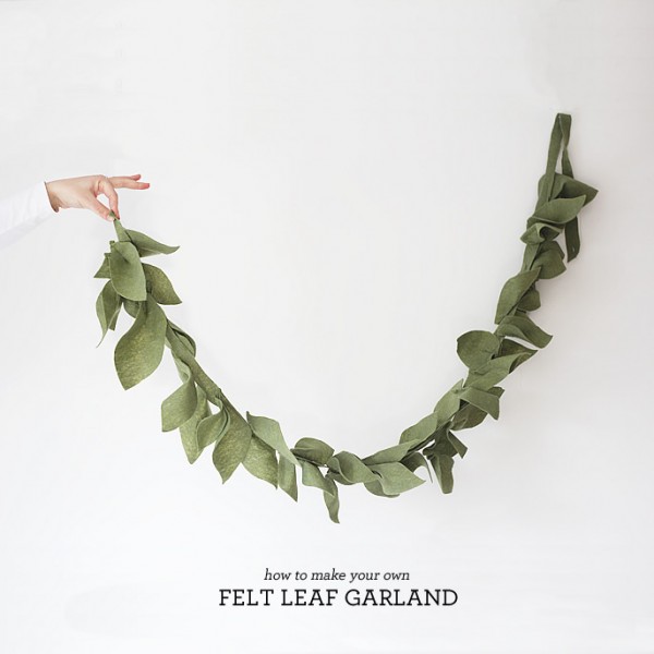 feltleaf