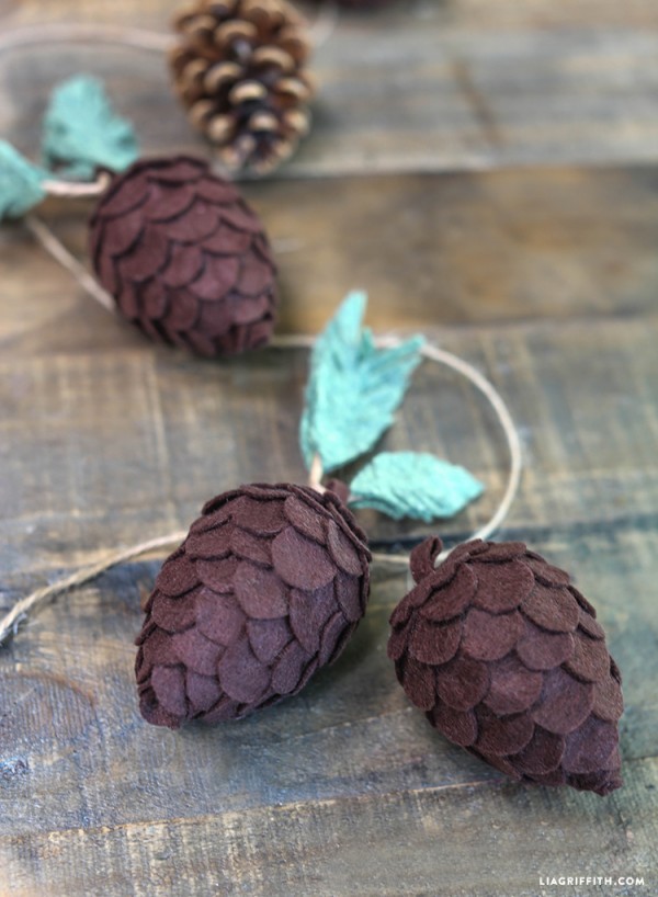 pinecones